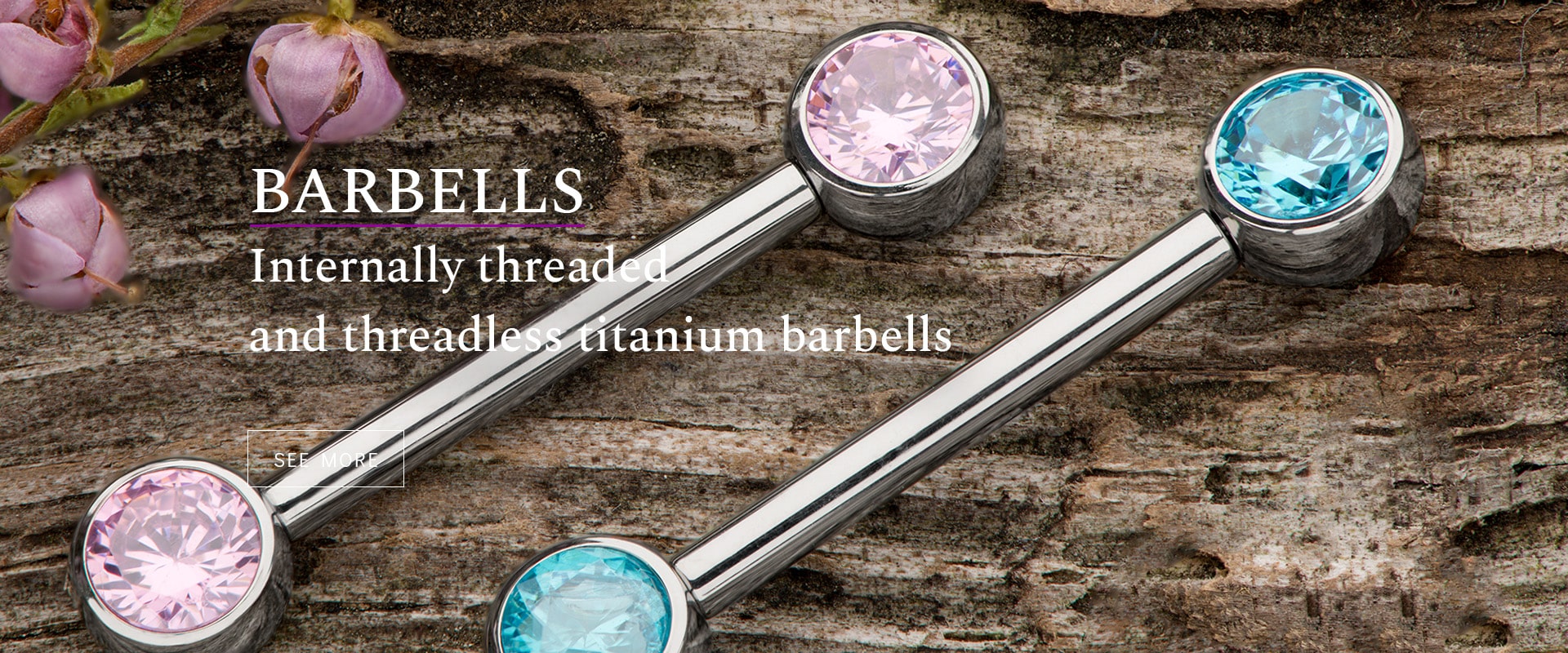 Piercing Titanium Barbells Safepins.eu