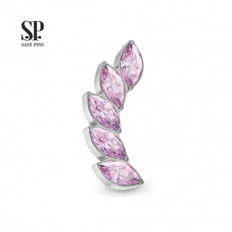 Sprig Cluster with CZ